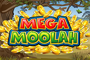 Mega Moolah sanasto