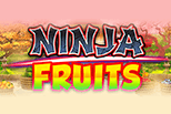 Ninja Fruits sanasto