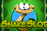 Snake slot sanasto