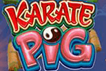 Karate pig sanasto