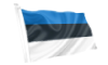 Viron pelilisenssi logo